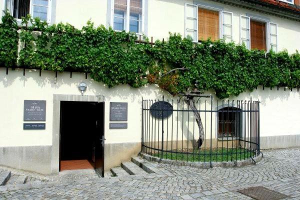 Apartma4Us Maribor Exteriér fotografie